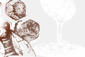 Душистые луга