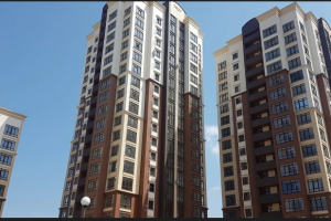 Жигулина роща. 2019 г. Фото с натуры.