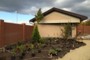 Гараж. Фото с натуры. 2016 г.