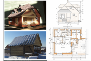 ИЖД в Подмосковье. 2010 г.