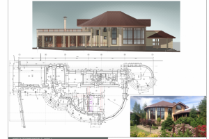 ИЖД в Подмосковье. 2006 г.