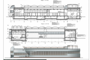 ФОК. Стадии П и Р. 2005 г.