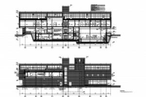 Пожарное депо. Ленинградское ш. Разрез. 2008 г.