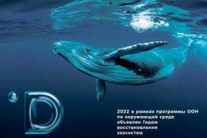 id календарь