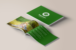 Радосвет буклет