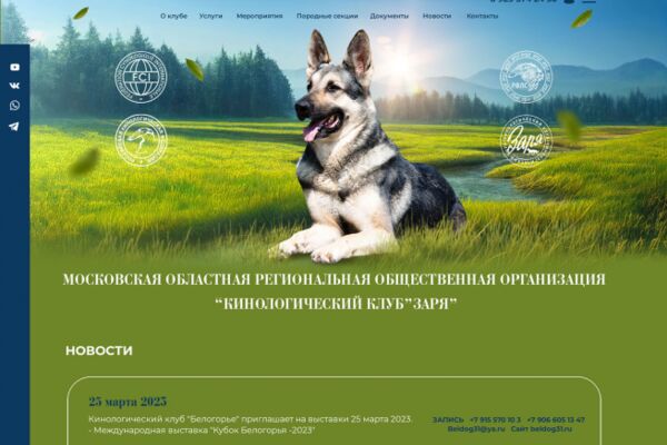 img4427491.png
