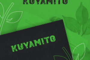 Логотип для азиатской компании Kuyamito
