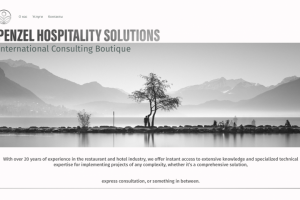 International Consulting Boutique - 3.