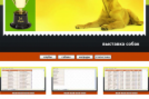 выставка собак