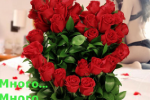 Для сайта podari-cvety.ru