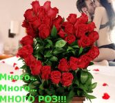 img2716516.png