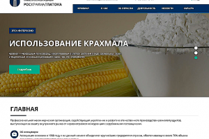 Сайт для некоммерческой организации