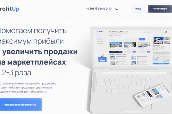 img4328848.png