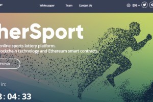 Корректировка White Paper проекта для ICO