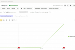 SEO-продвижение сайта магазин бредовых игрушек