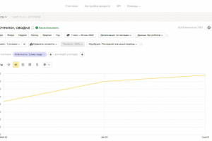 SEO-продвижение сайта автоматизация бизнеса