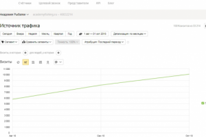 SEO-продвижение рыболовного интернет-магазина