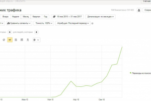 SEO-продвижение интернет-магазина охолощенного оружия