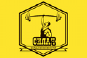 Настройка и ведение Я.Директ и G.Ads по лифтовому оборудованию