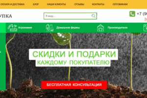 Создание интернет-магазина по продаже семян овощей