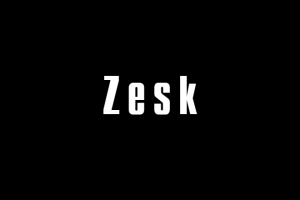 Zesk - Нейминг для строительно-отделочной компании.