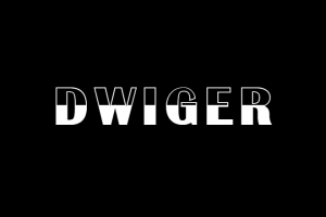 Dwiger - Нейминг для компании по аренде автомобилей.