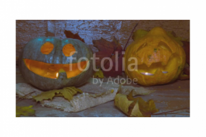 Стоп моушен