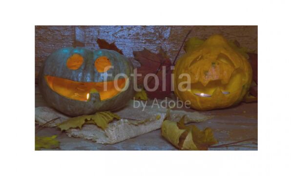 img3319084.png