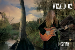 Обложка для диска