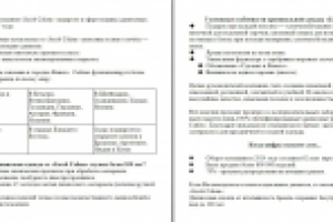 Бренд одежды