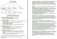 img2951854.png