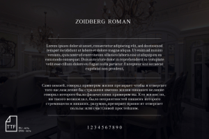 Шрифт ZOIDBERG ROMAN
