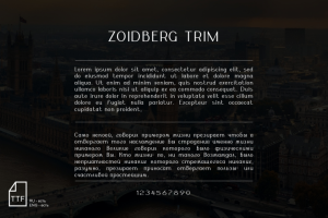 Шрифт ZOIDBERG TRIM