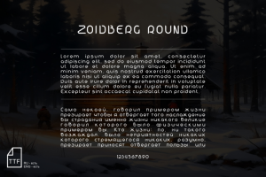 Шрифт ZOIDBERG ROUND