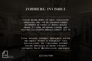 Шрифт ZOIDBERG INVISIBLE