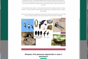 Разработка викторины