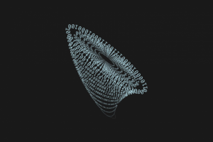 Разработчики ПО