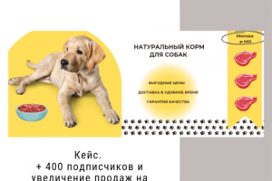 Кейс. Привлечение клиентов через таргетированную рекламу в ВК.