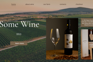 Интернет магазин винного бюро