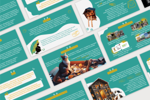 Обустройство уличного домика для бездомных кошек