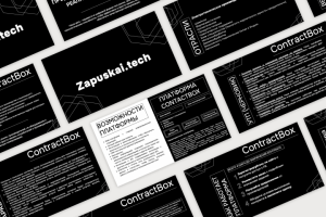 Презентация для Zapuskai.tech