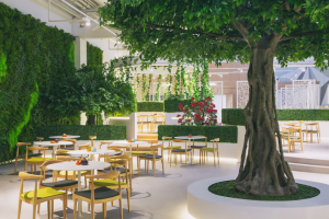 Сад Подзноева