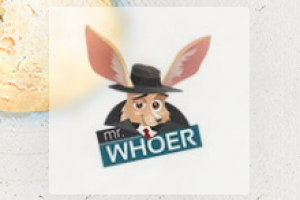 Десктопное приложение для компании WHOIX Ltd