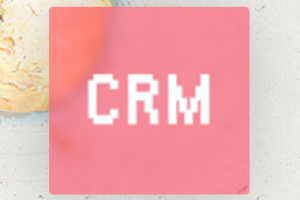 CRM для ТЦ "Академия Лидерства"