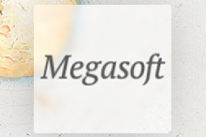 Автоматизация учета для ООО "Megasoft"