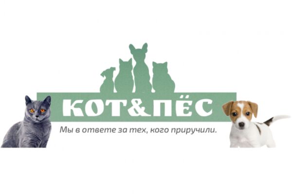img4655221.png