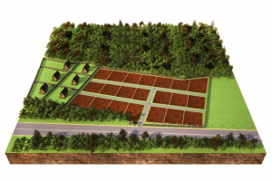 карта участков в 3d