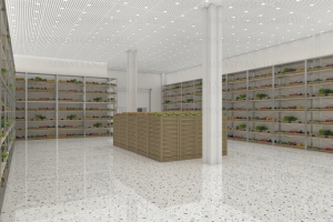 Торговые ряды, склад, парковка