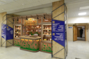 модель павильона для меда