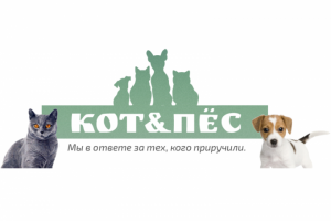 КОТ И ПЕС